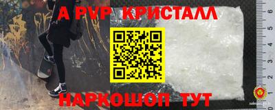 индика Гай