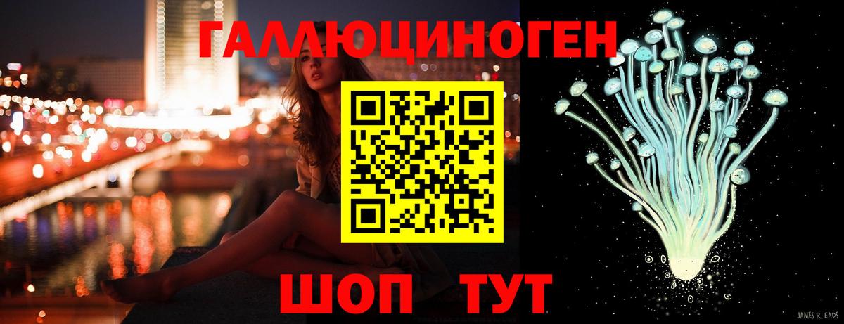 Псилоцибиновые грибы Psilocybine cubensis Ликино-Дулёво